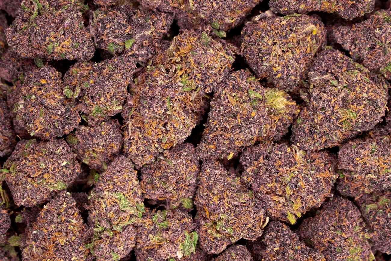 fleurs de blueberry kush