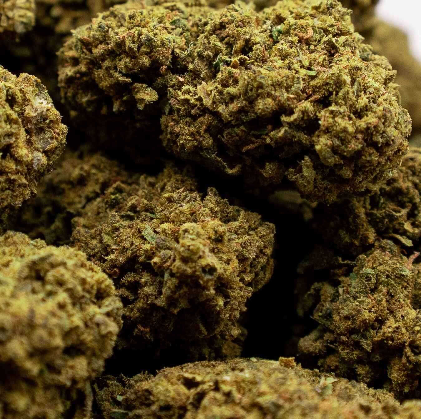 fleur CBD Bubblegum
