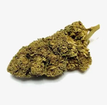 AMNESIA CBDOO Amnesia Fleurs de CBD