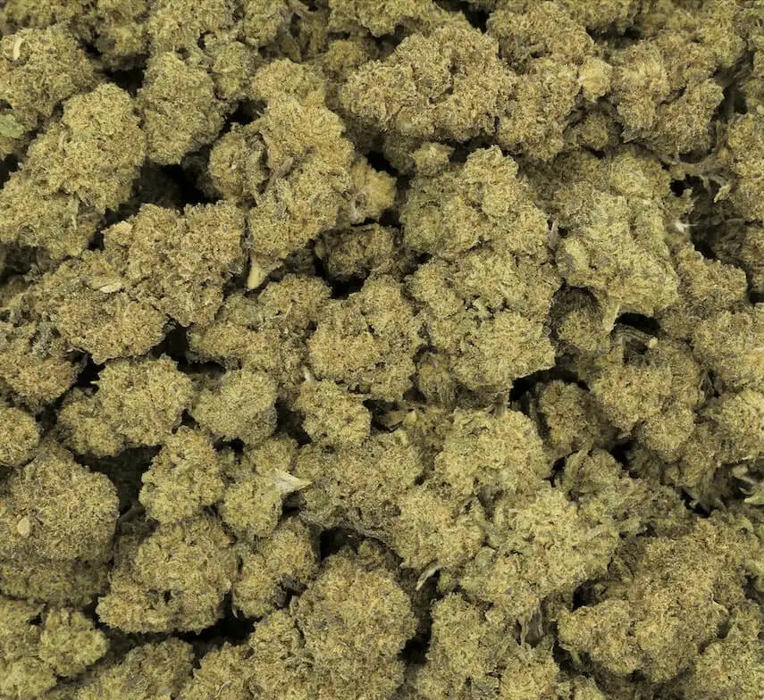 Durban Poison 10 OH HHC (1) Durban Poison 10 OH HHC