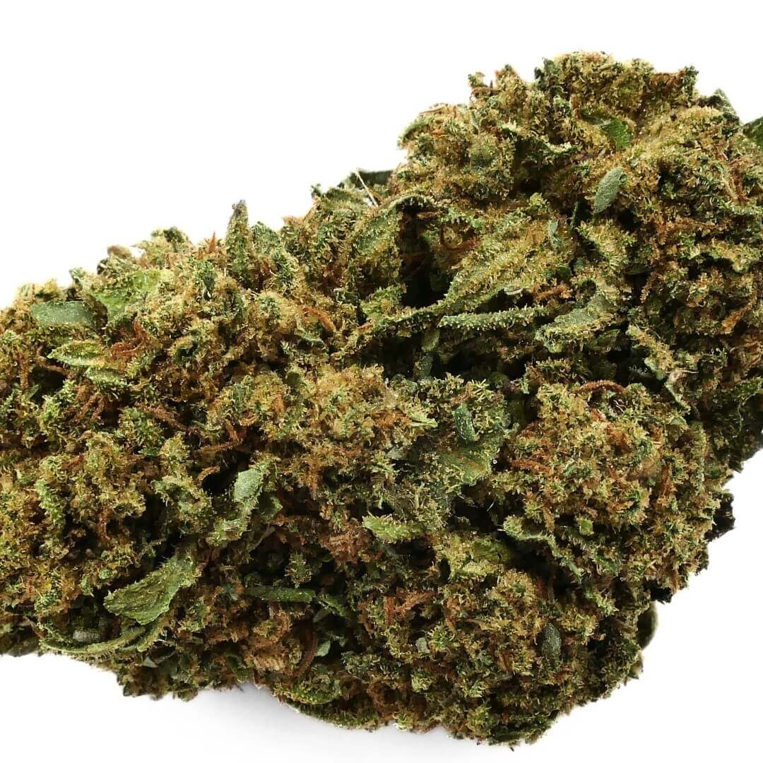 SUPER ROYAL HAZE - FLEUR - CBD