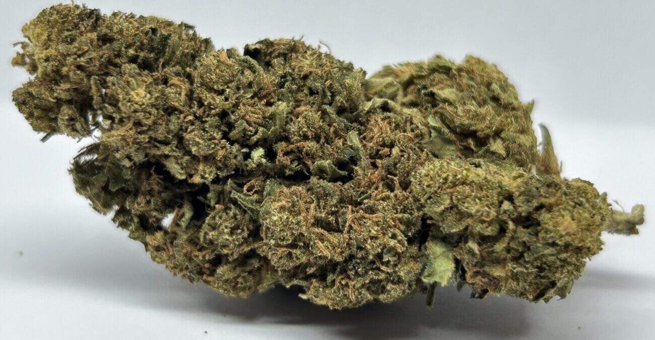Platinum OG fleurs de CBD