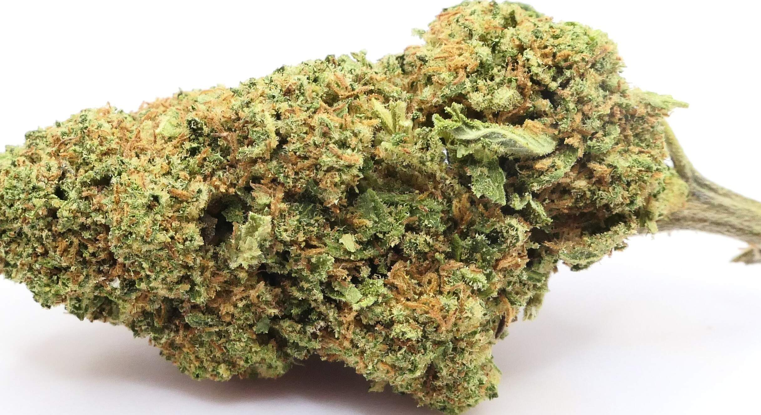CANDY OG FLEUR DE CBD
