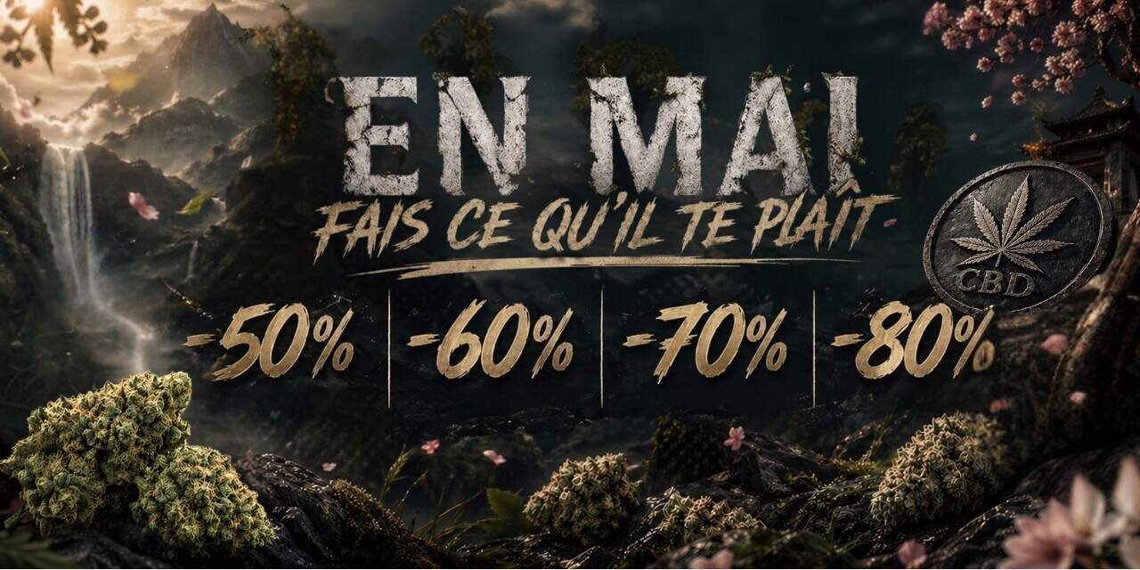 offre nolimit