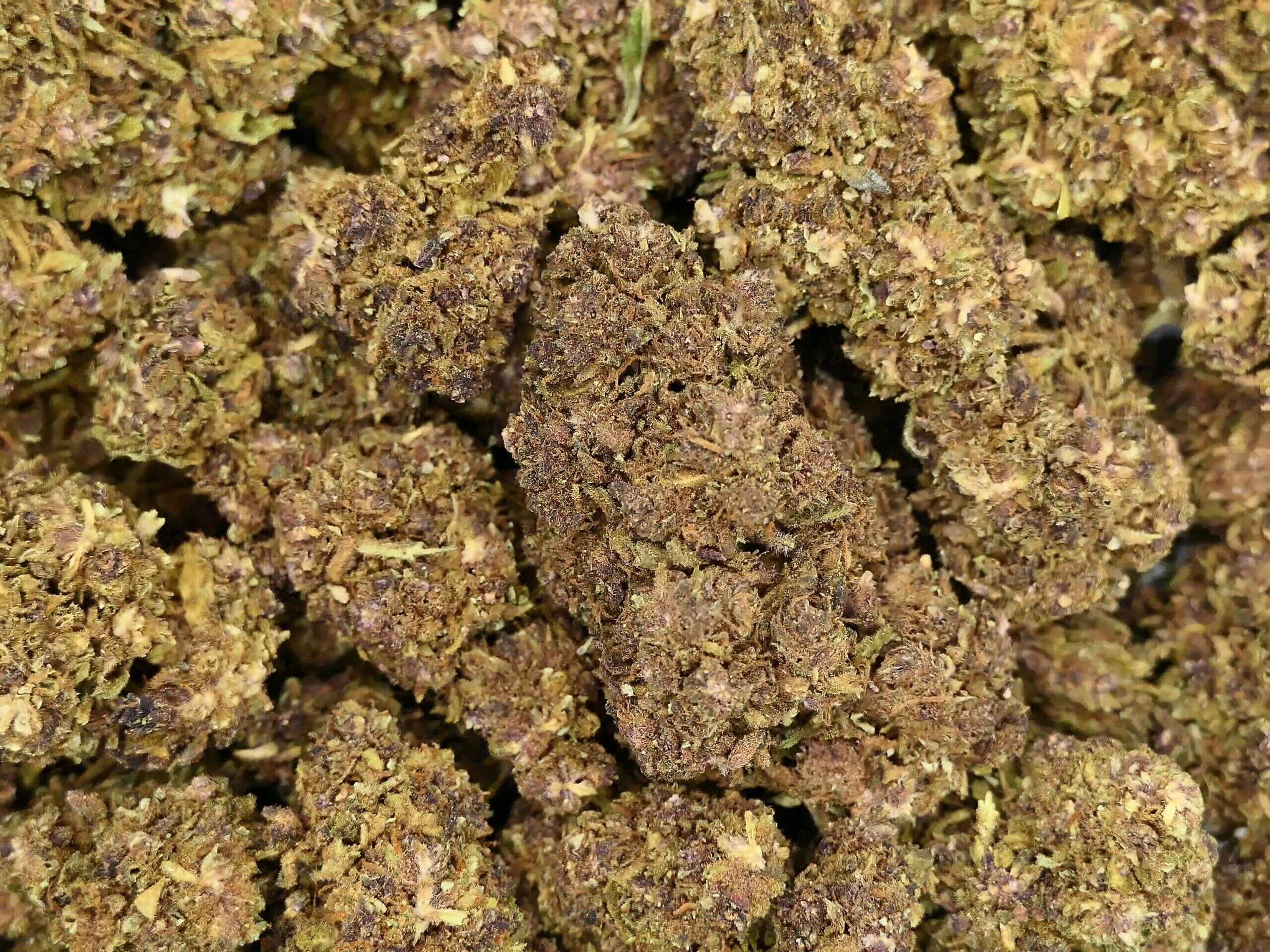 MOBY DICK FLEUR DE CBD MOBY DICK FLEUR DE CBD