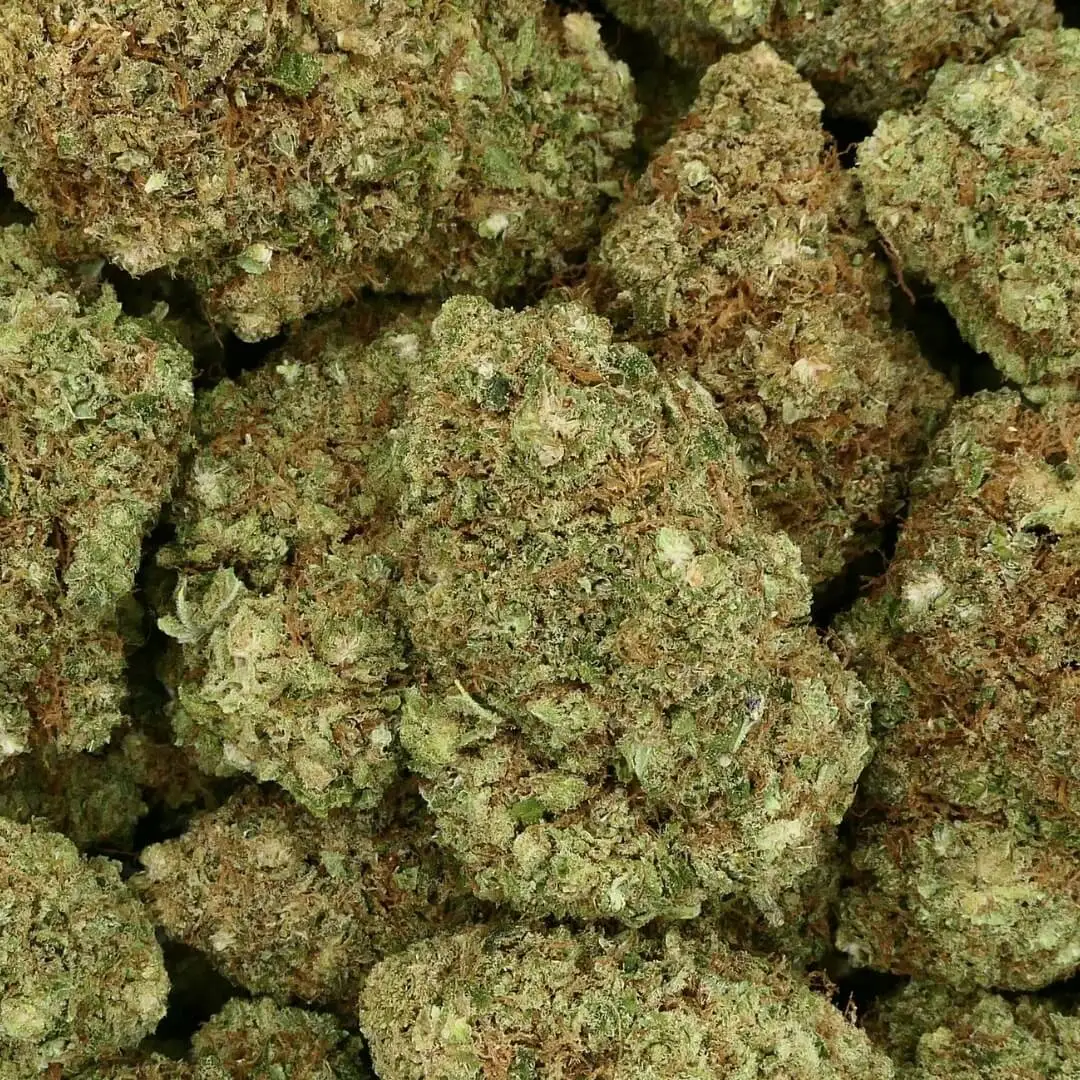 BRUCE BANNER - FLEUR - CBD HYDRO