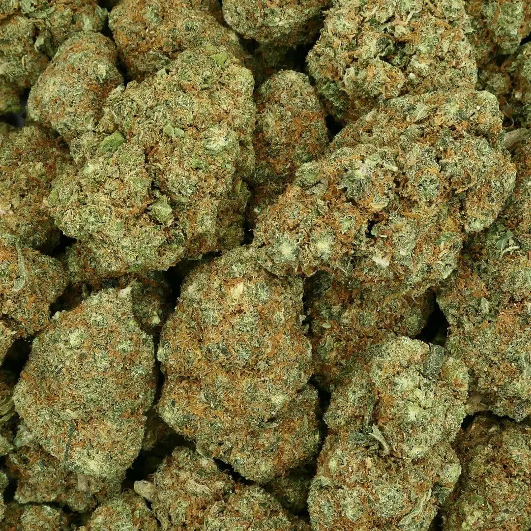 ZOMBIE KUSH - FLEUR - CBD HYDROPONIQUE