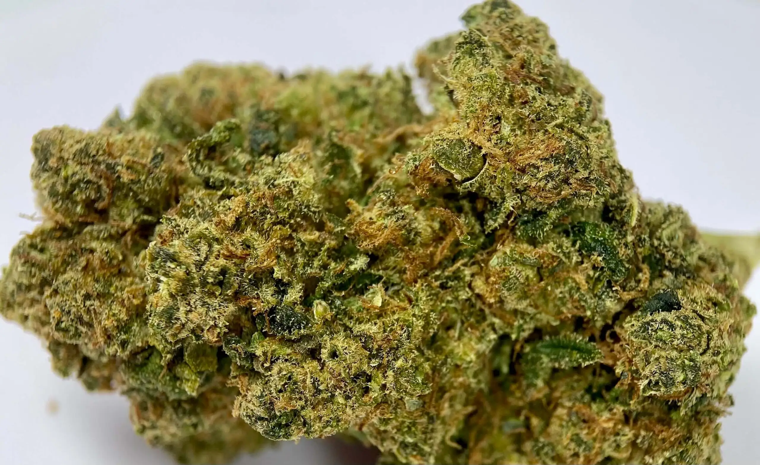 Amnesia crunch fleur HHCPO