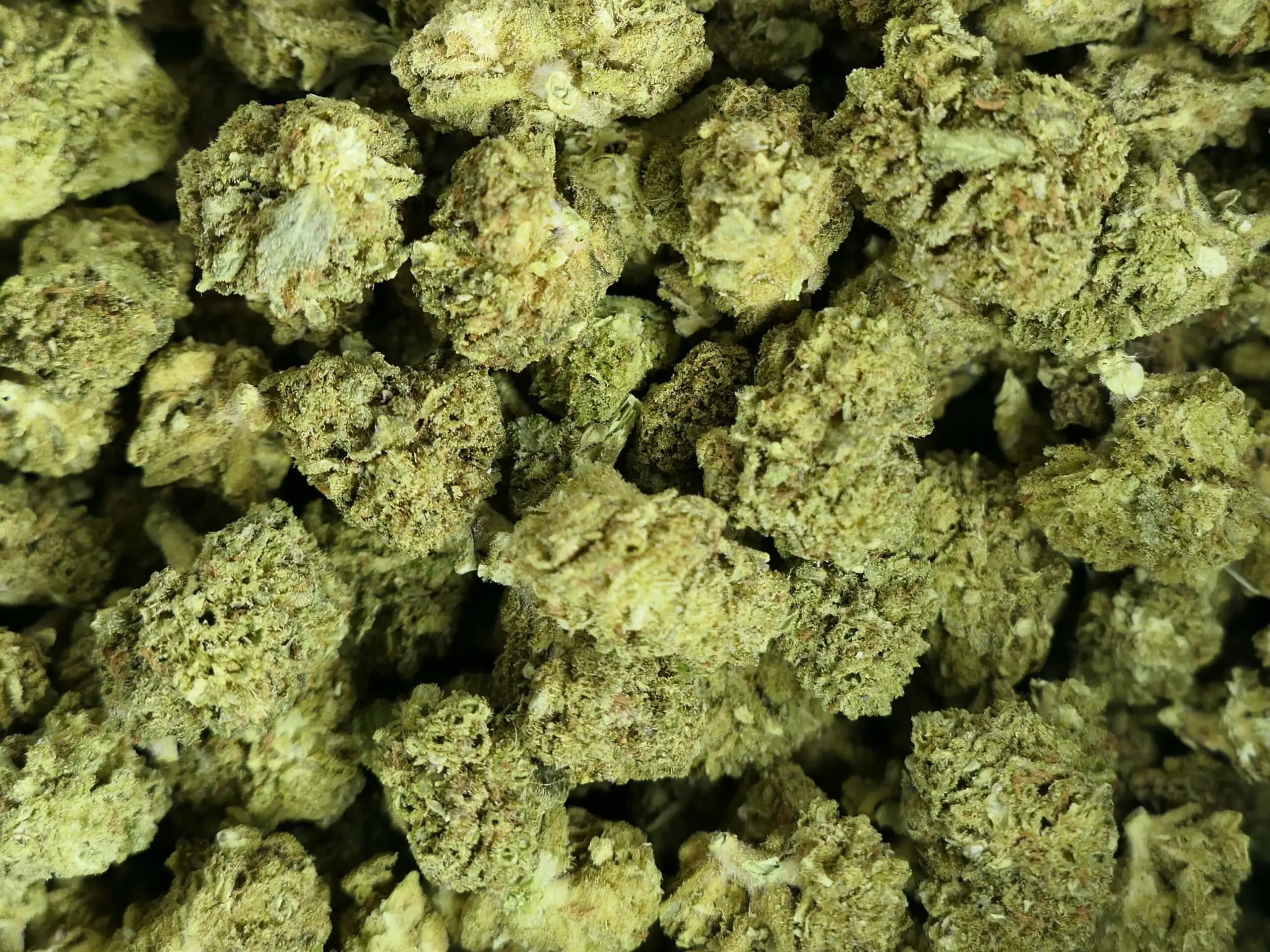 FROZEN INFERNO FLEUR DE CBD PREMIUM