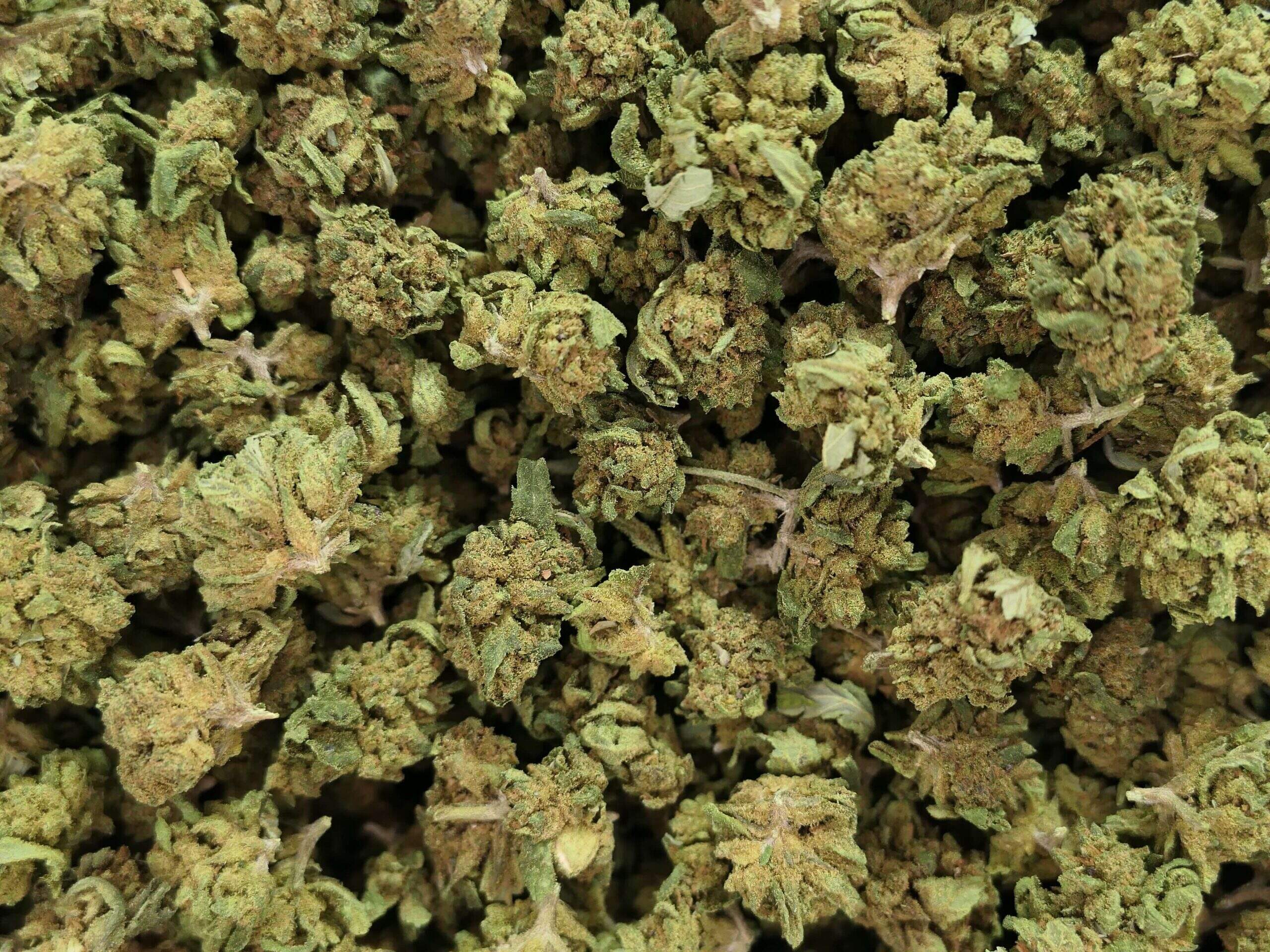SMALL BUD EXTRA FLEUR DE CBD