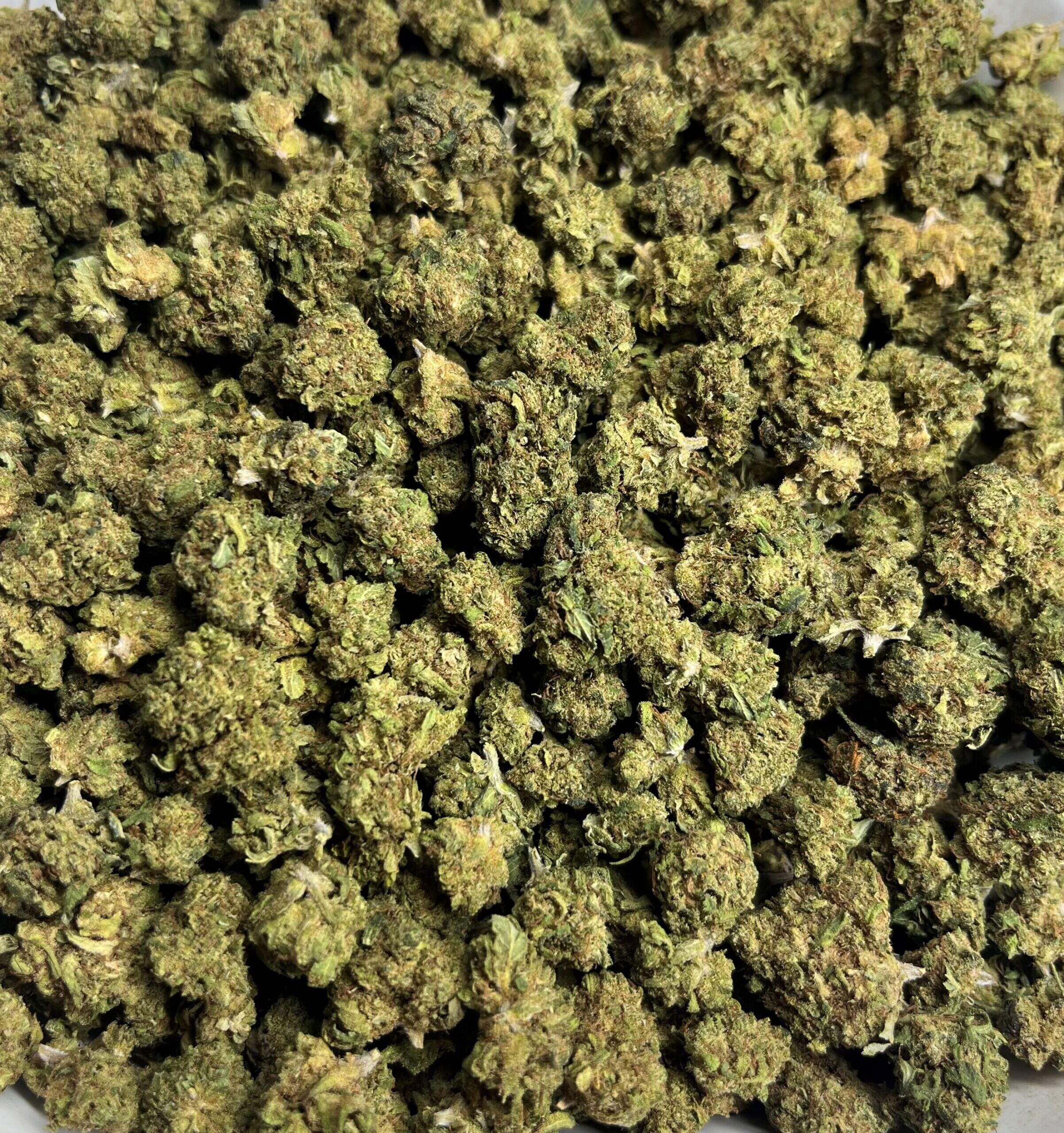 small bud apple punch fleurs de cbd