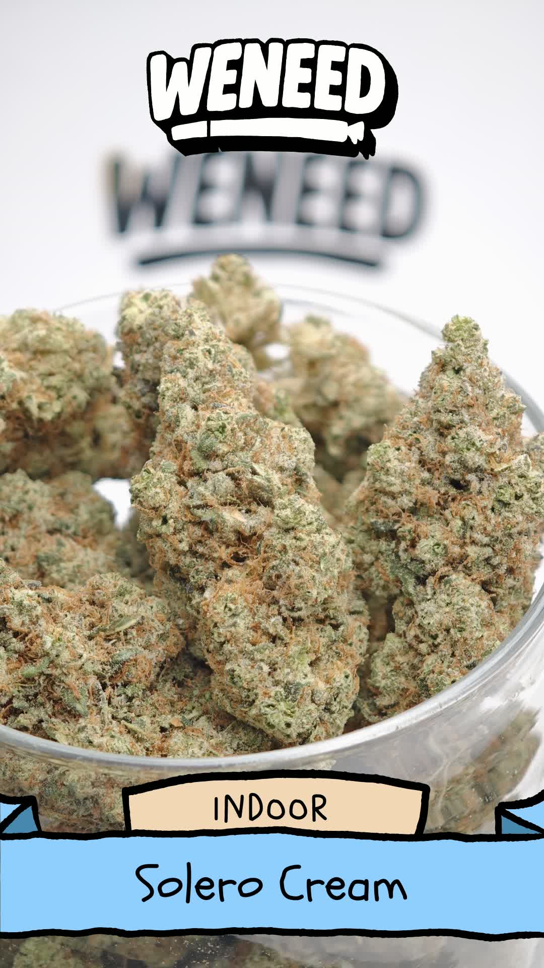 solero cream hydro