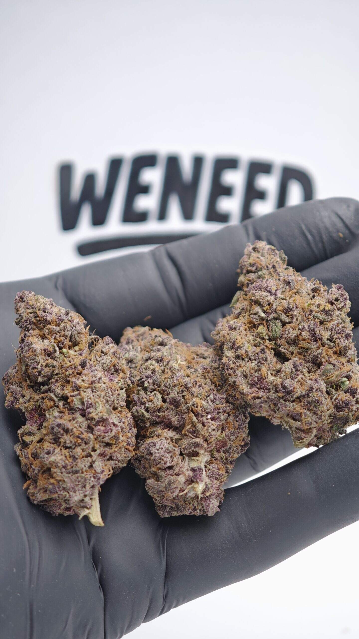 tarmac groupe de buds