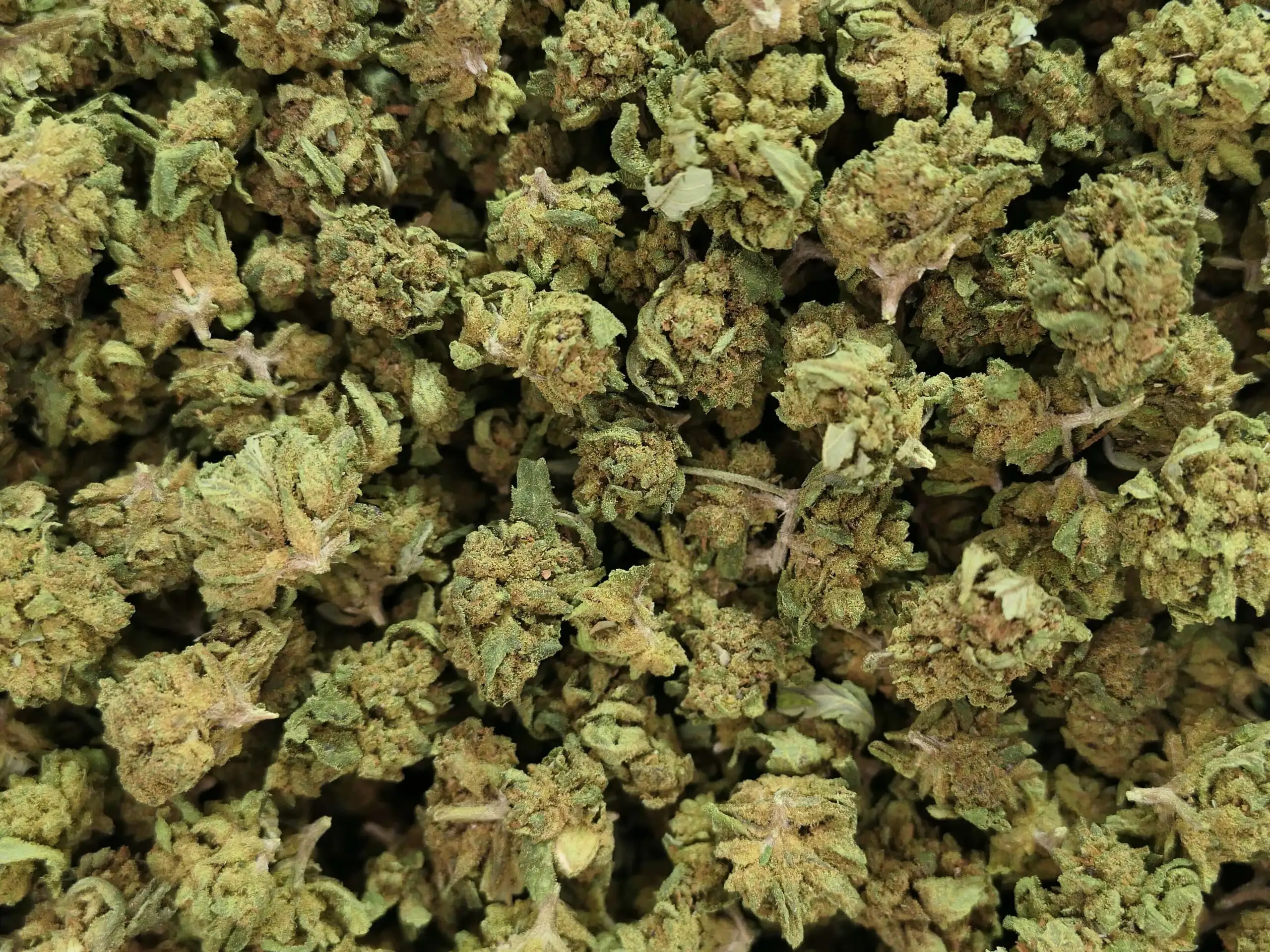 SMALL BUD EXTRA FLEUR DE CBD