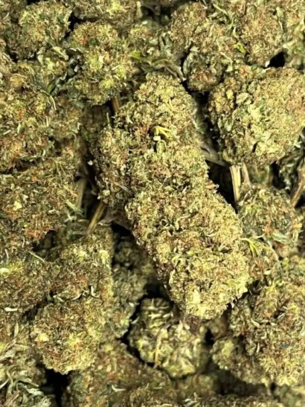 Kings Juice fleur HHCPO