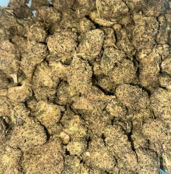 space bomb space bomb fleur thm