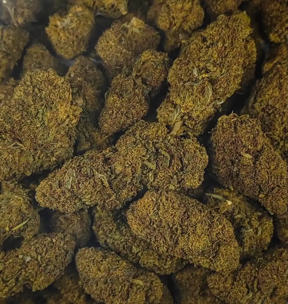 Fruity Jack fruity jack 10ohHHC