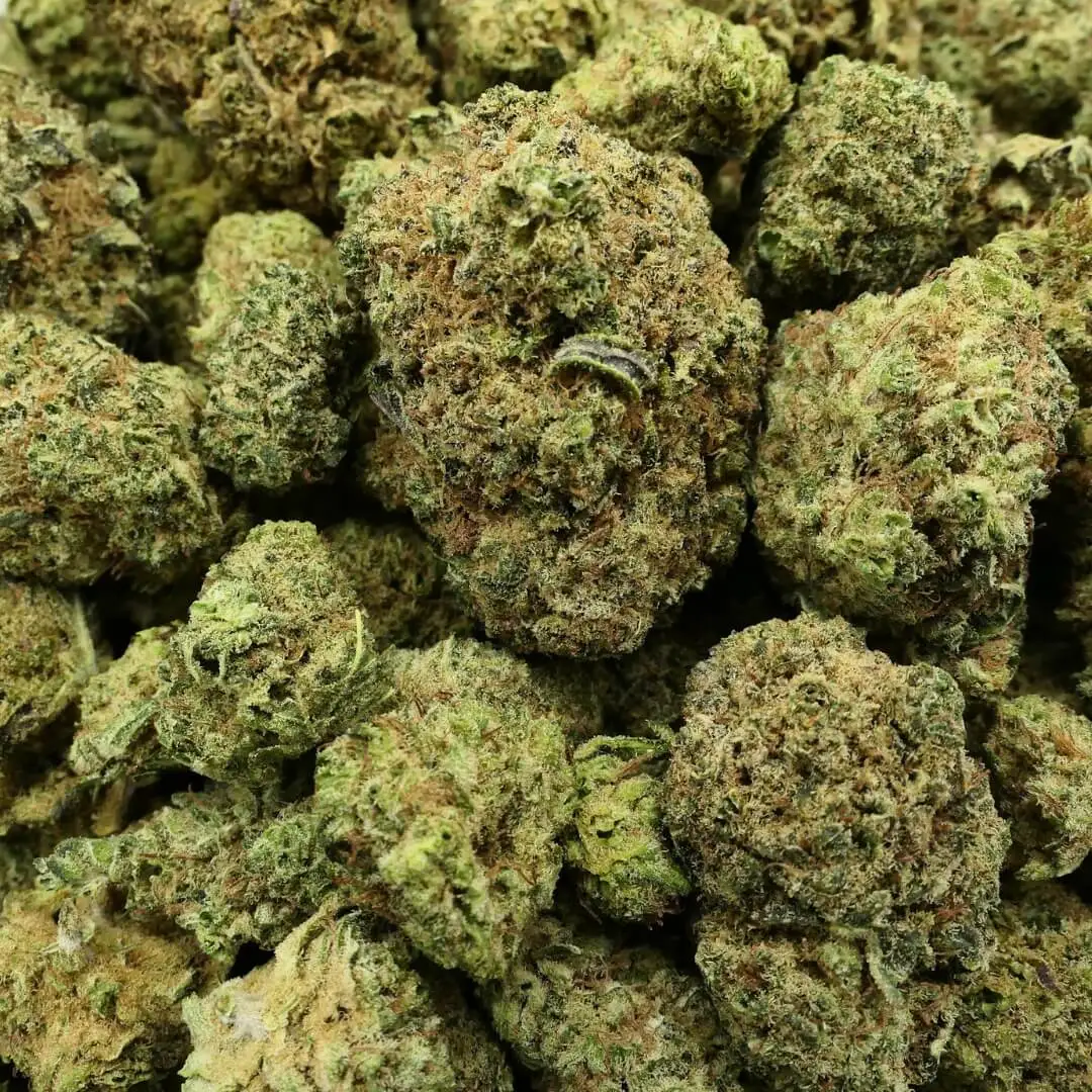 GREEN FINISHER - fleur 10 OH + MCPN (1) GREEN FINISHER - fleur 10 OH + MCPN (1)