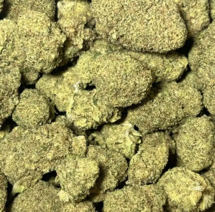 Mac 1 Mac fleurs hydroponique de CBD