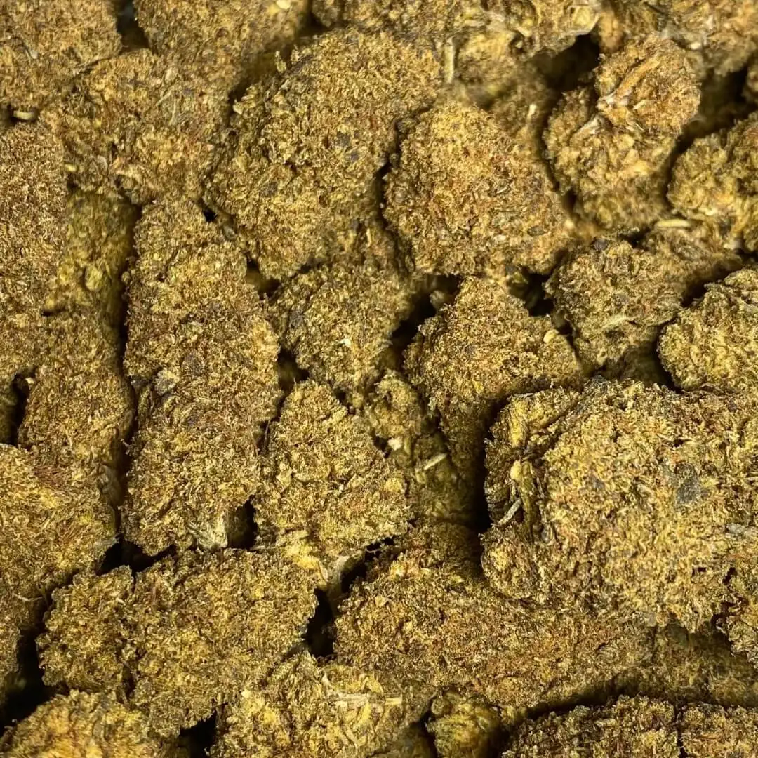 tropical breeze tropical breeze