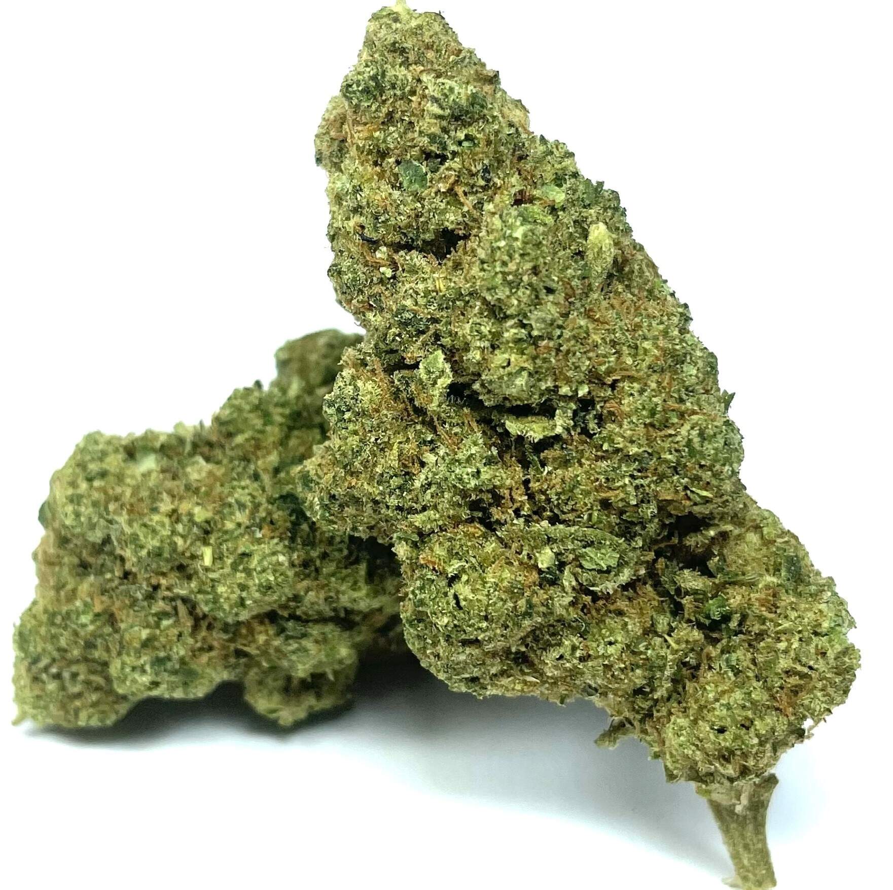 jenny kush THCJD