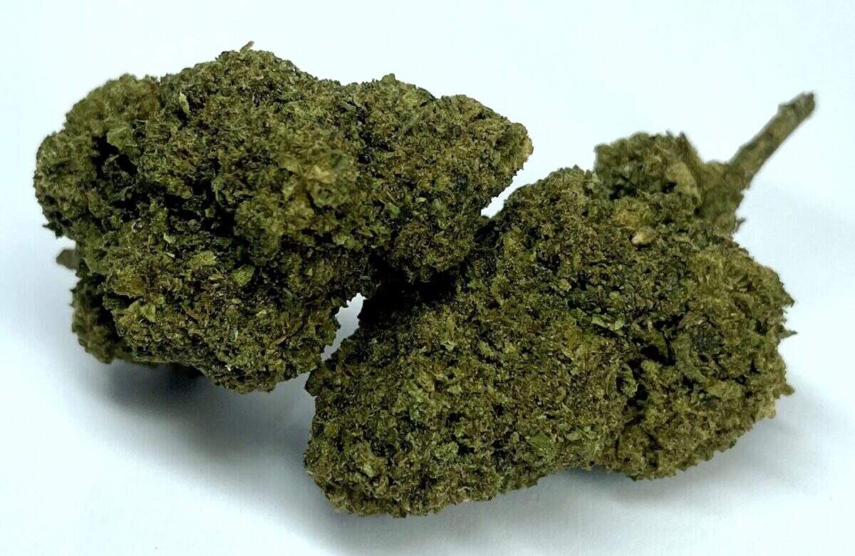 Tropicanna THCJD