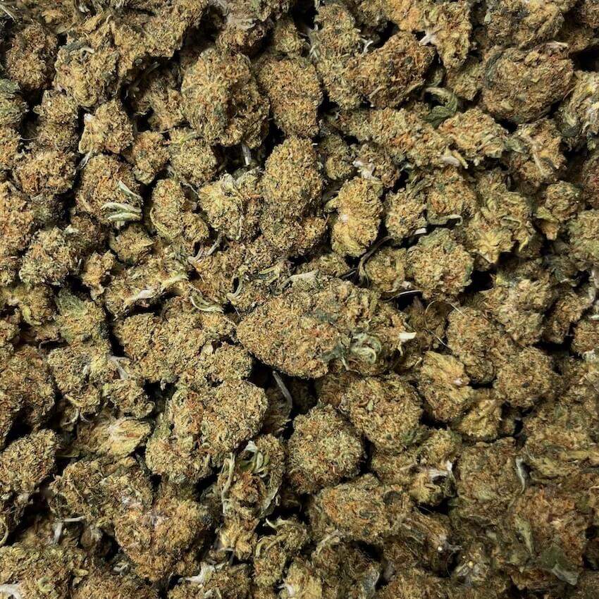 small bud Ghost Train 10ohhhc