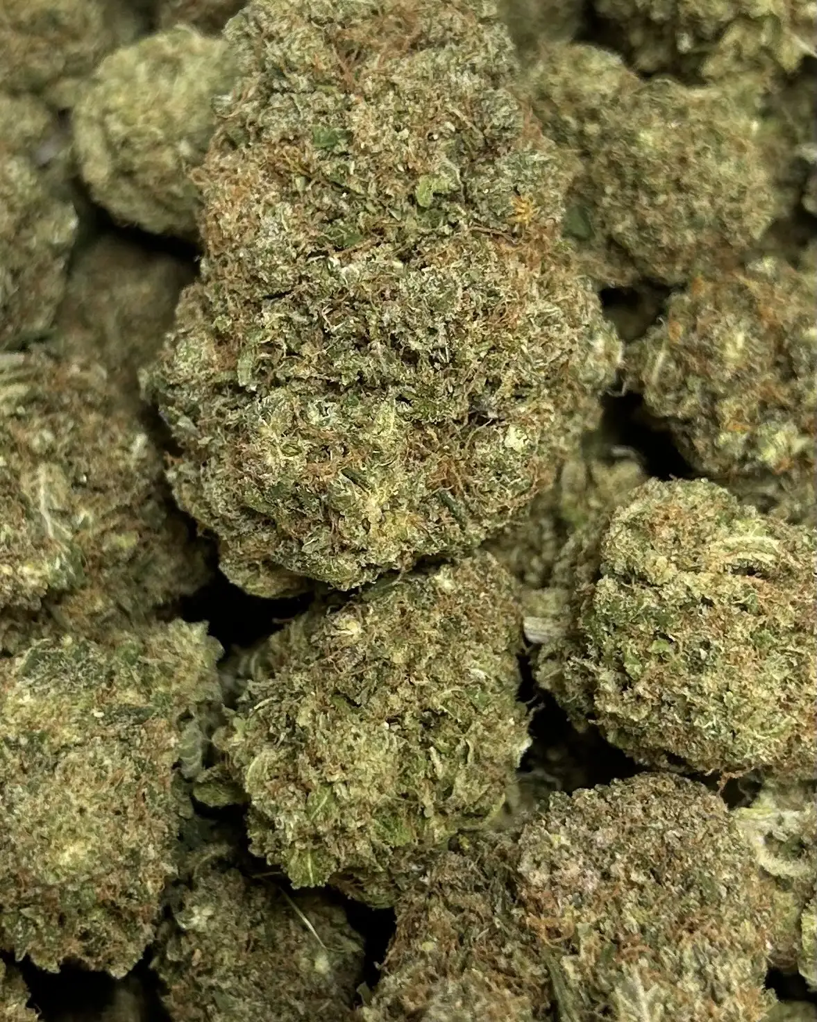 bluebery kush