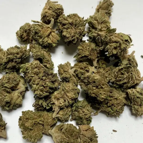 small bud OG fleurs et produits de CBD small bud OG