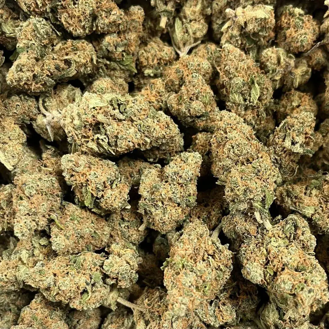 pure kush (1) pure kush GMP