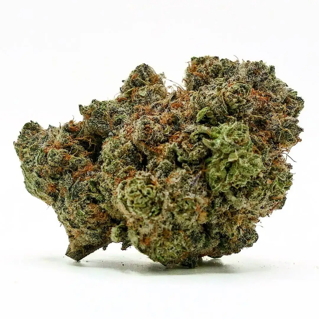 SHERBET RAINBOW FLEUR DE CBD HYDROPONIQUE SHERBET RAINBOW