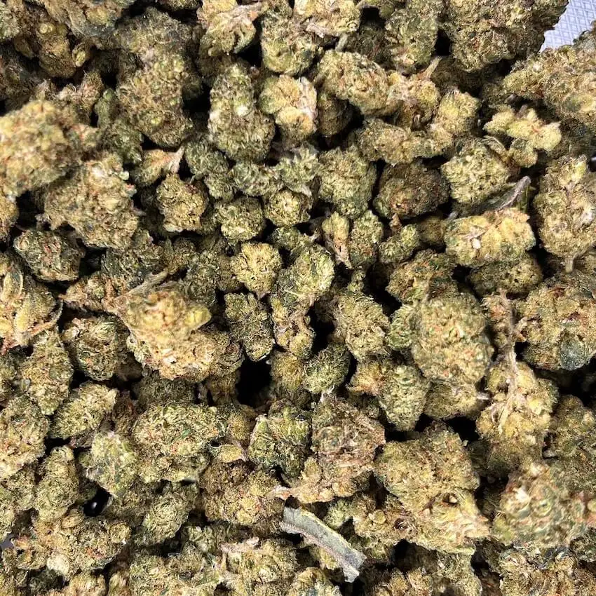 peach sherbet peach sherbet thm