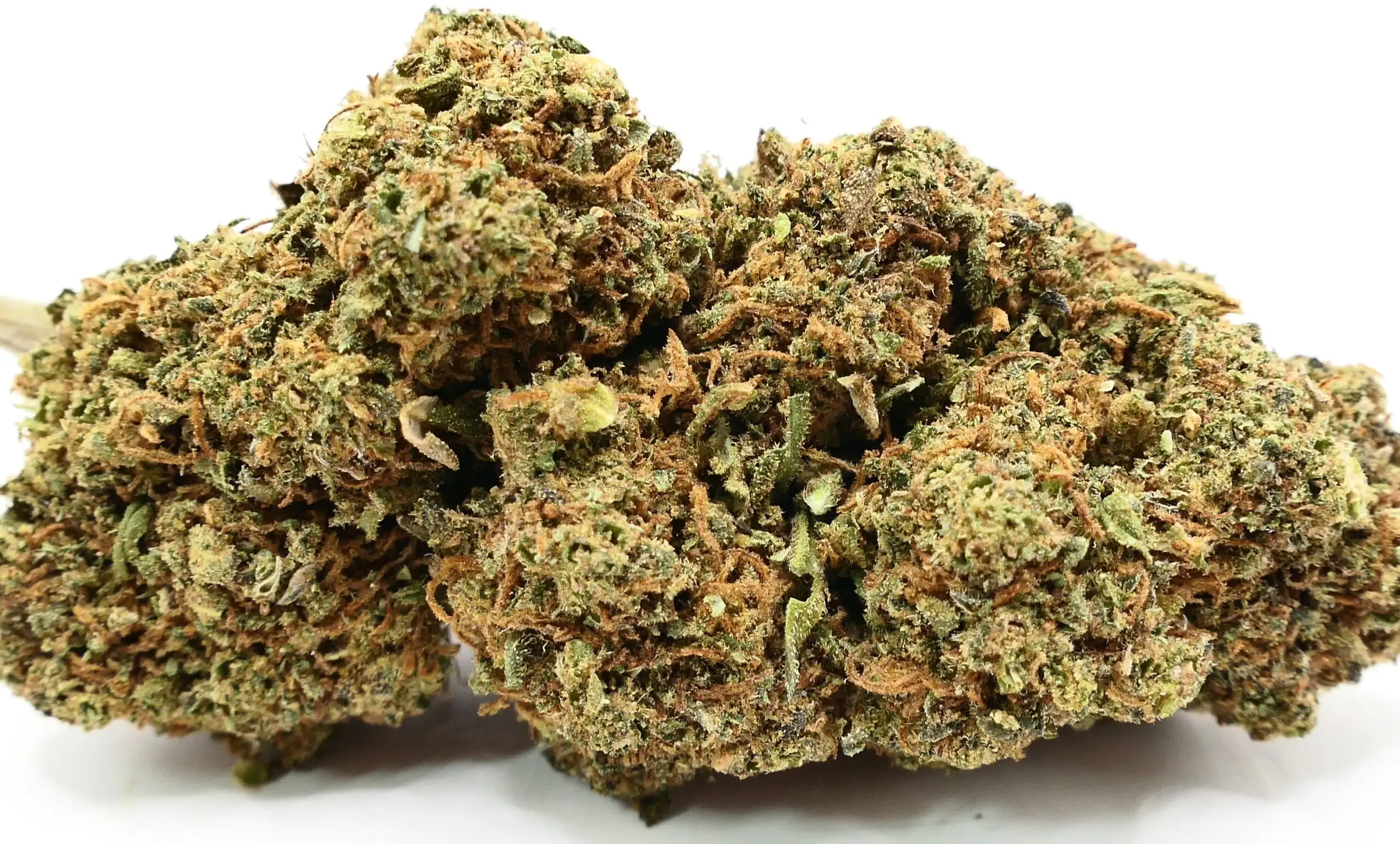 Tangerine dream fleur de cbd