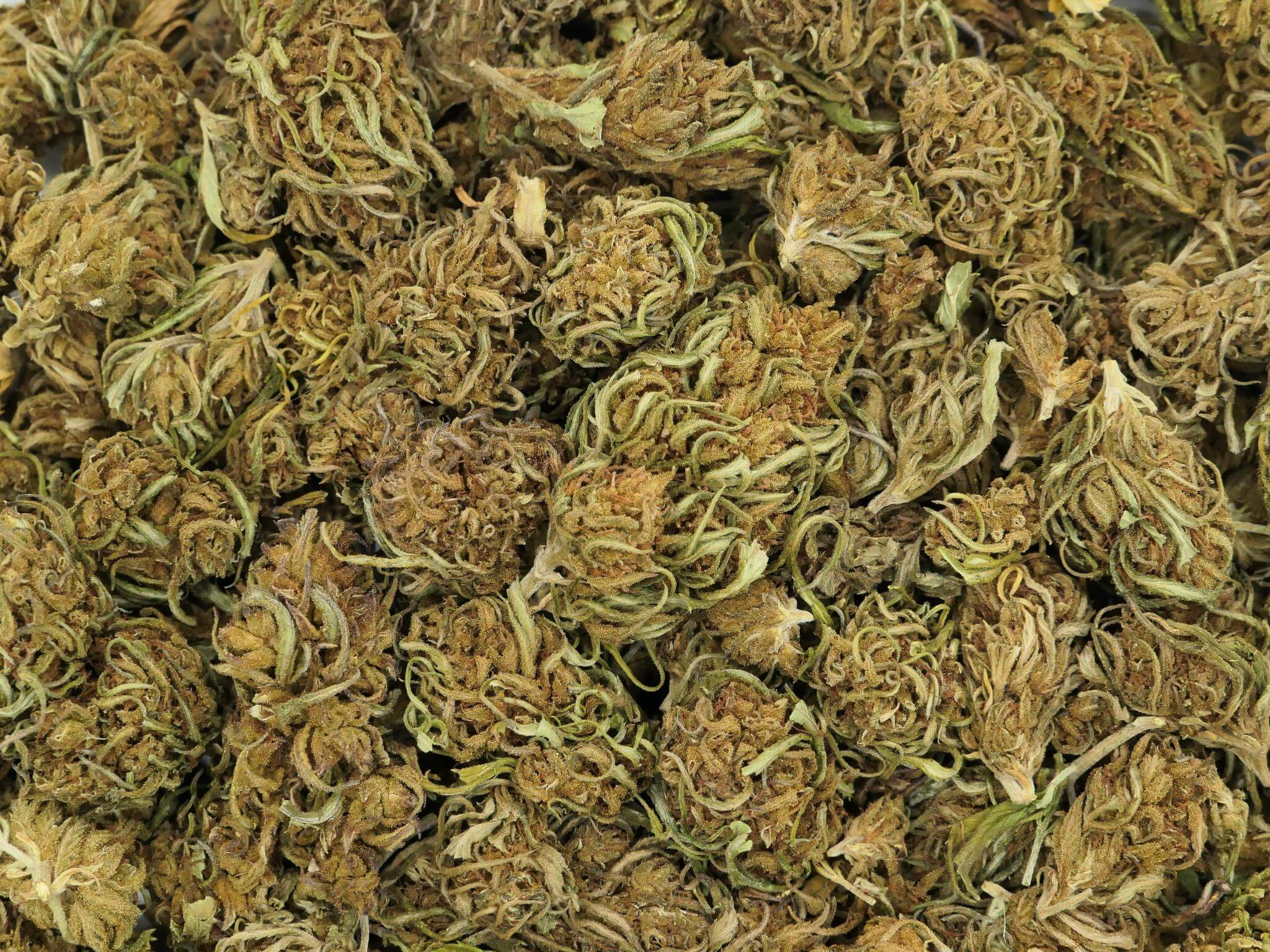 LOKAL LOKAL FLEUR DE CBD