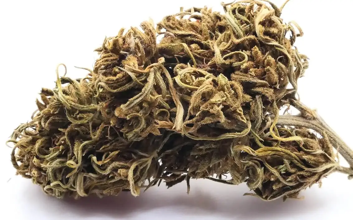 Lokal Fleur de CBD lokal