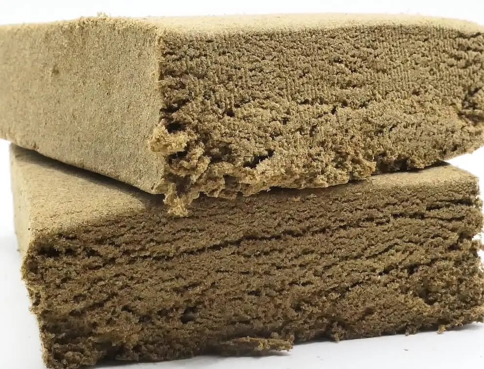 black mamba black mamba