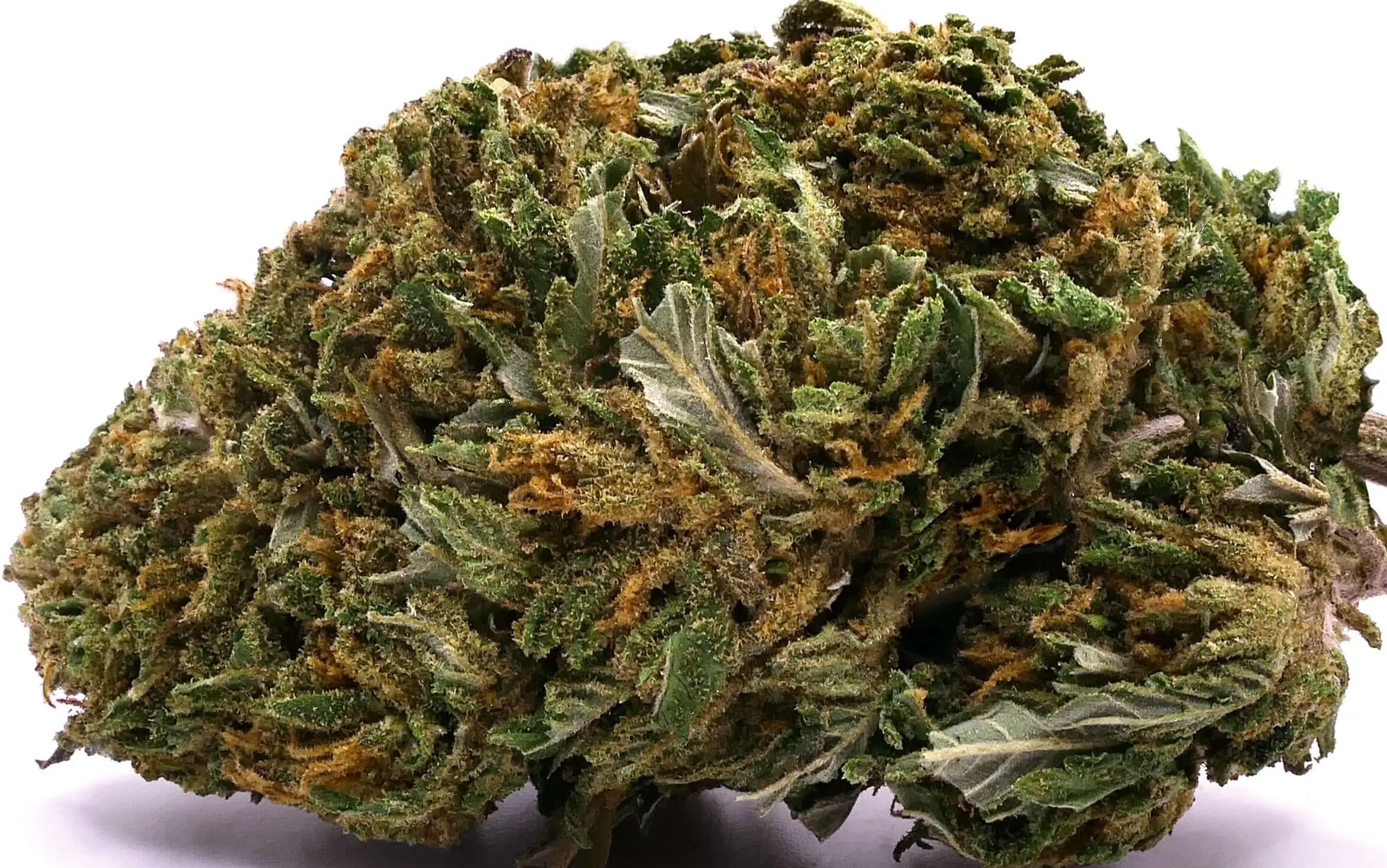 BIG BUDDHA CHEESE FLEUR DE CBD