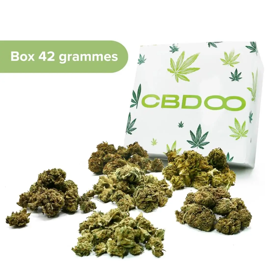 BOX SMALL BUD MASTER