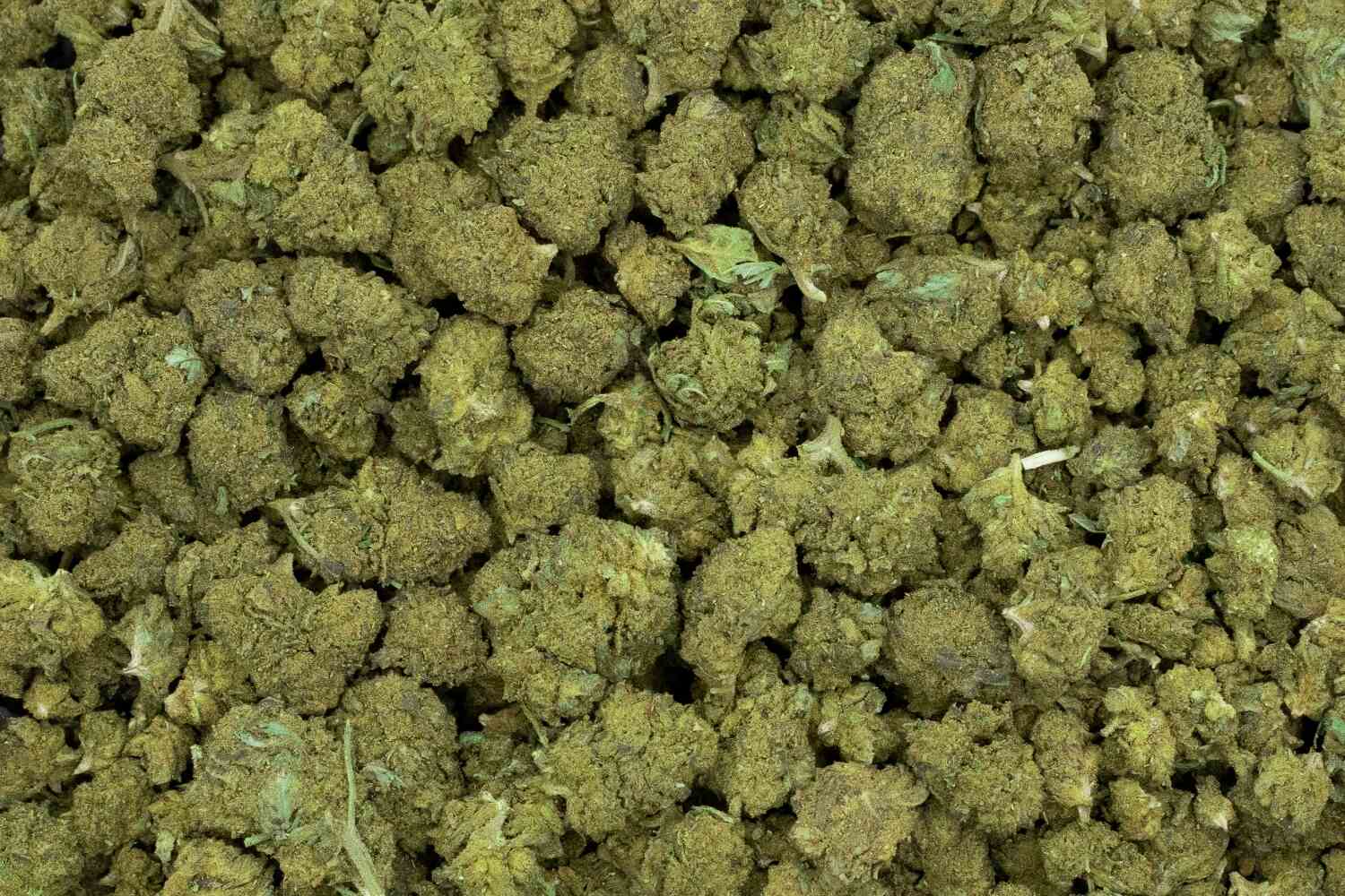 buds Tropical lemon