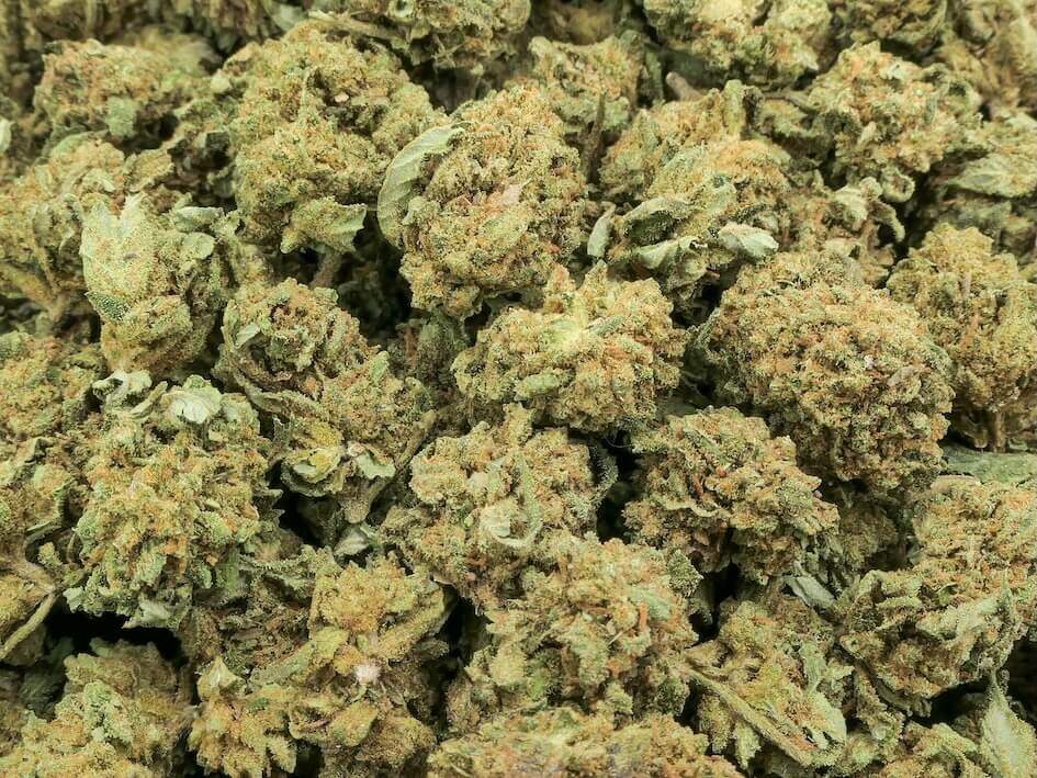 CBD tropical lemon