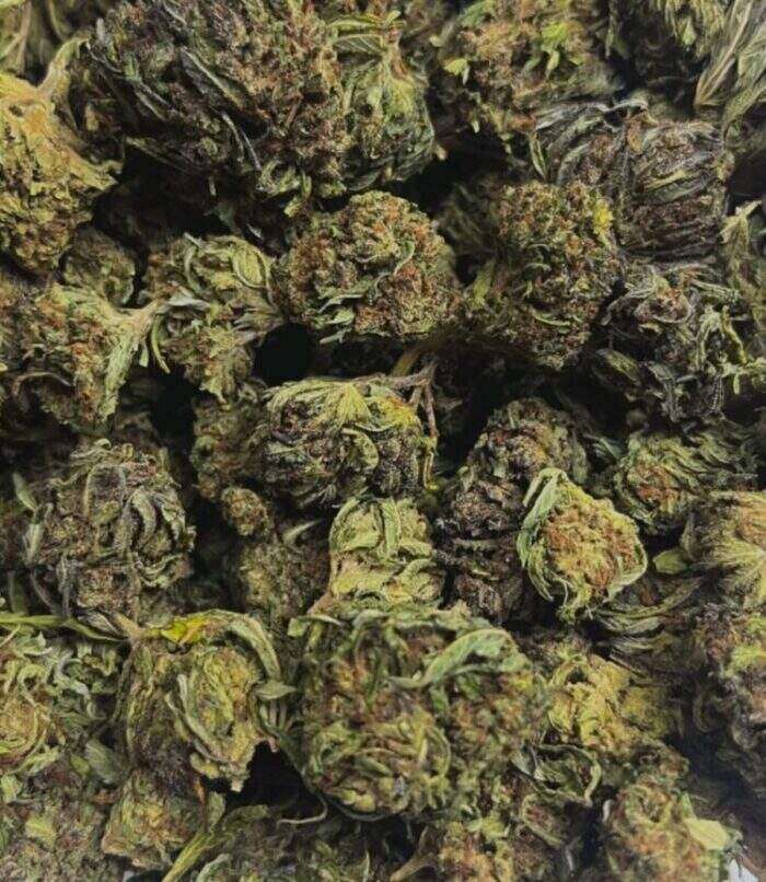 PACIFIC OG THCP