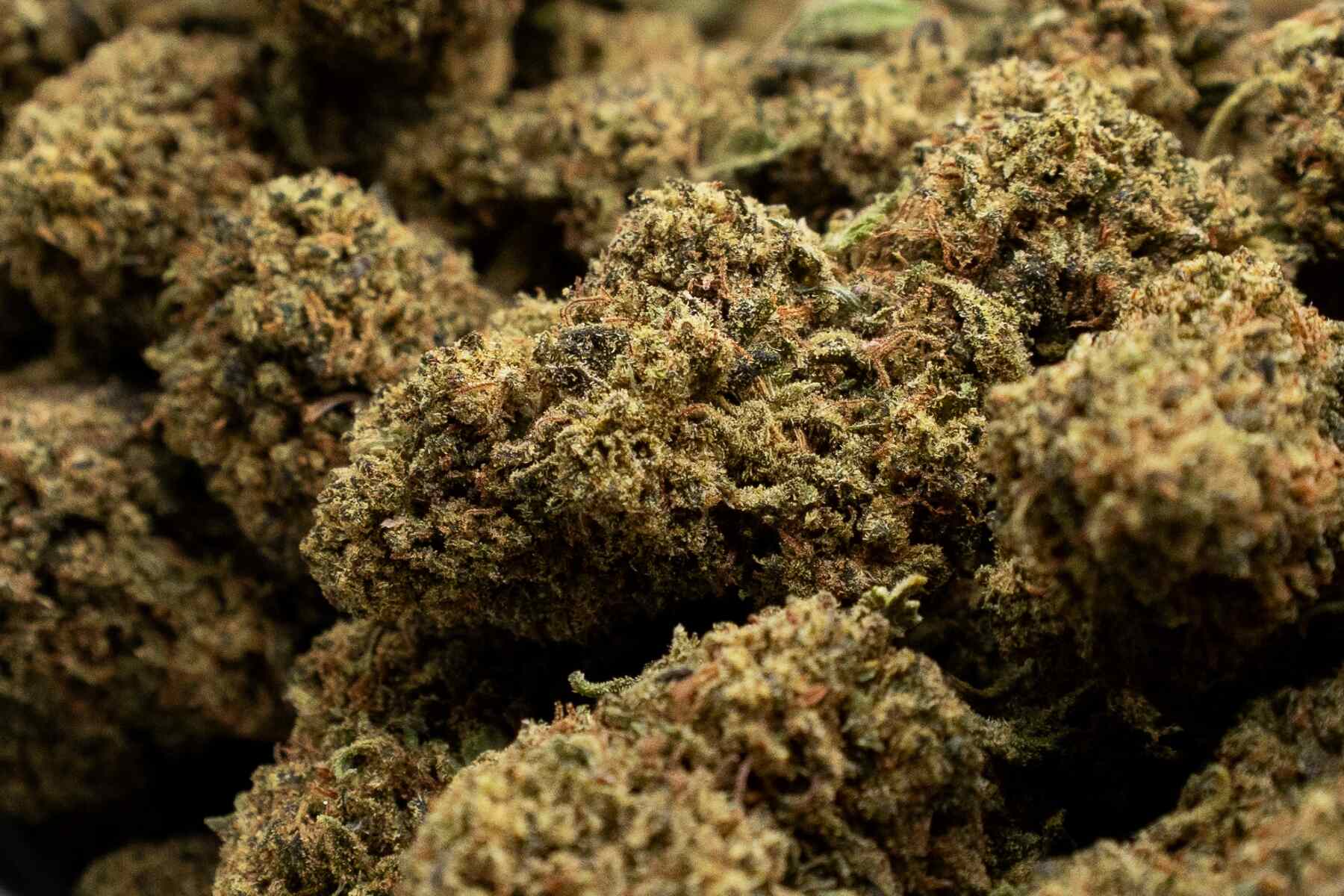 Flores Golden kush