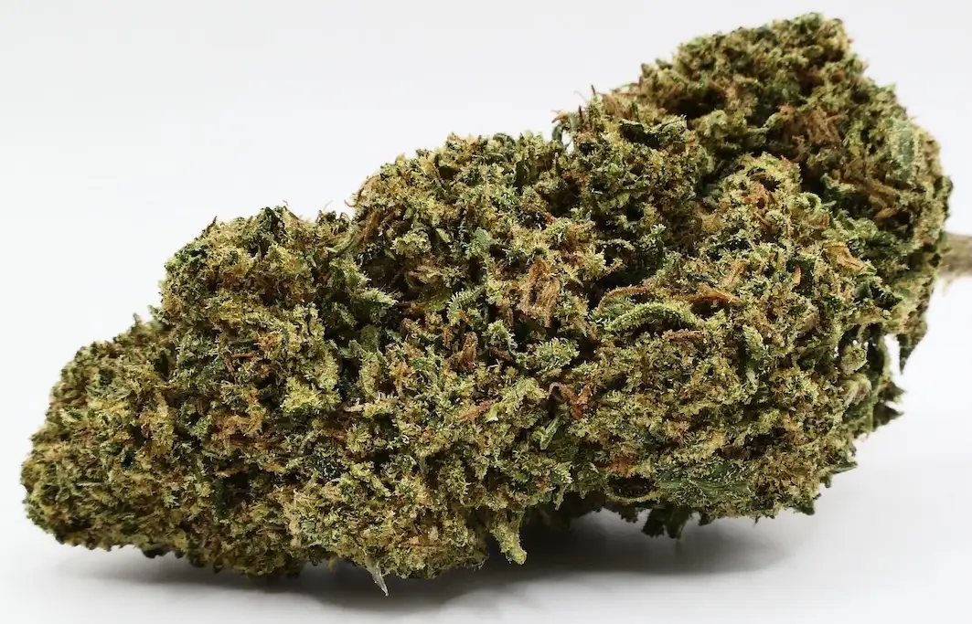 AK47 Fleurs de CBD