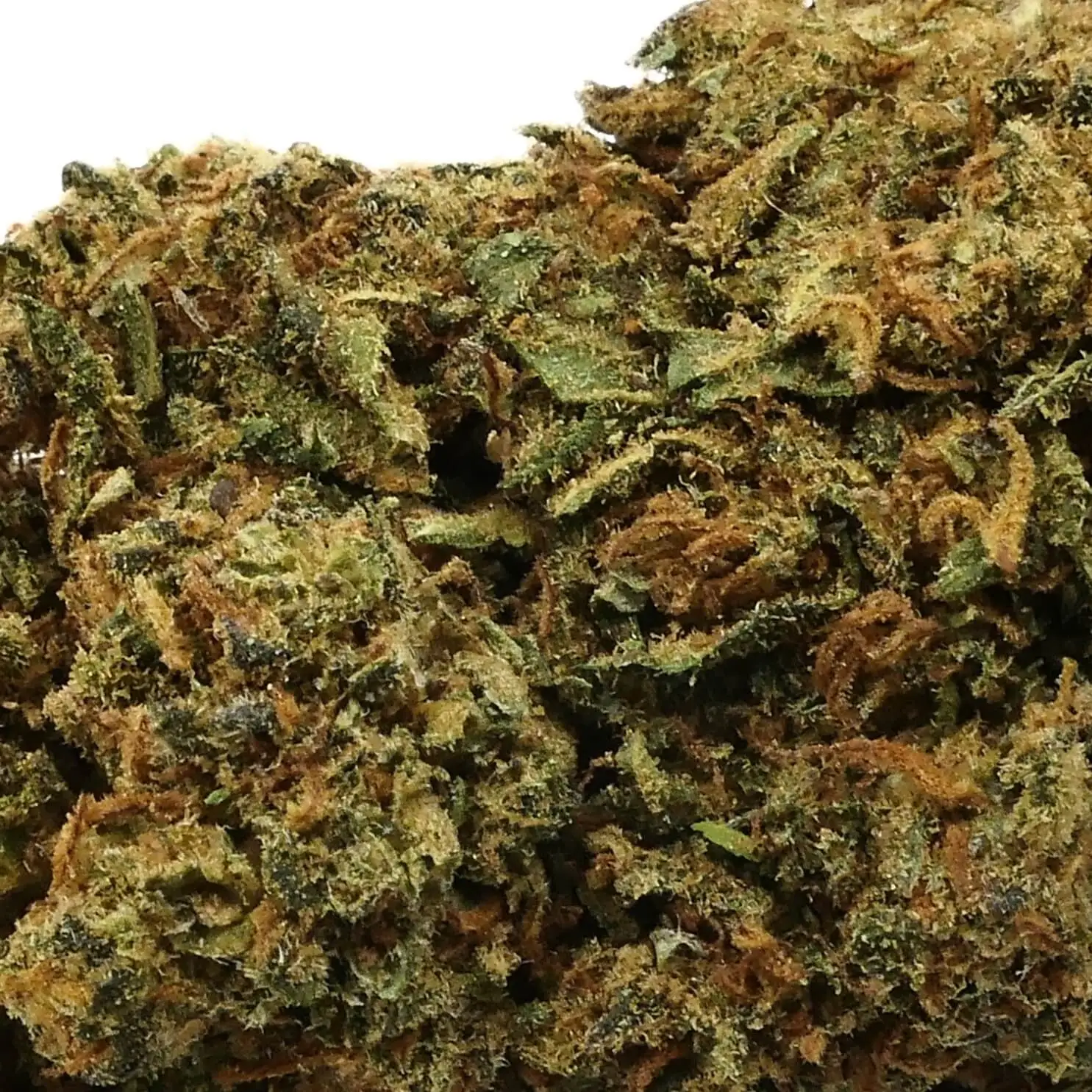 CANDY KUSH - FLEUR CBD
