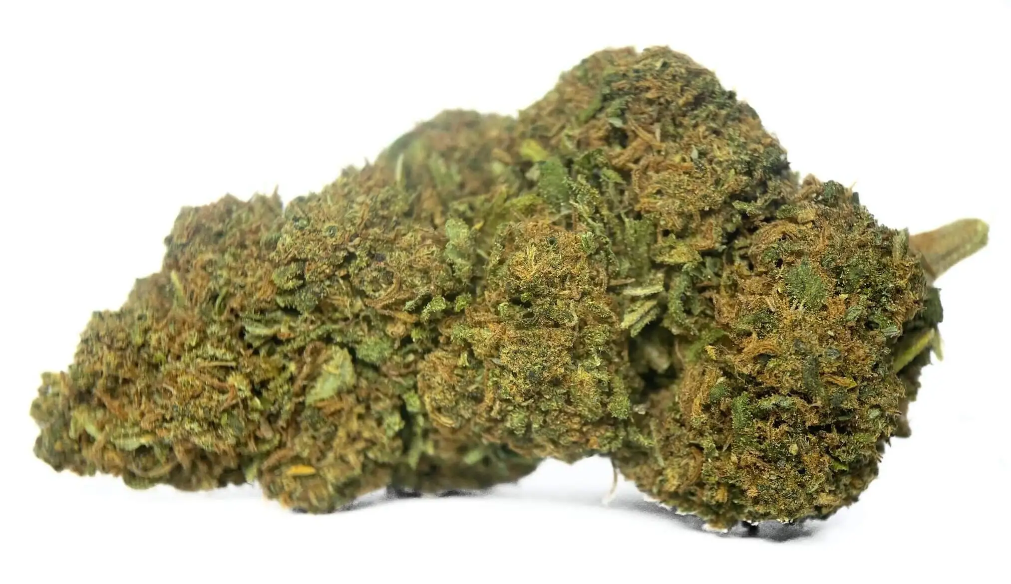 tangerine dream