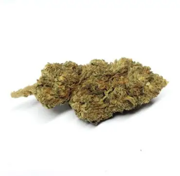 fleurs de CBD Medihaze CBDOO