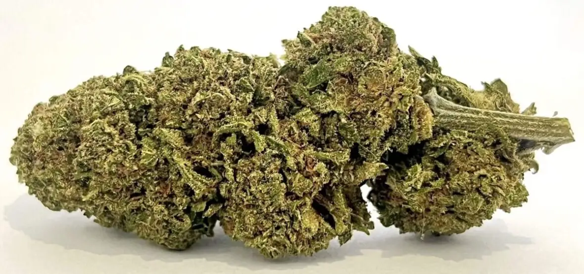 Greenkush fleurs de CBD