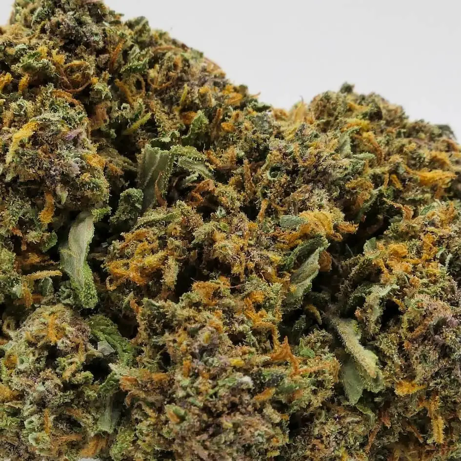 gorilla glue CBD