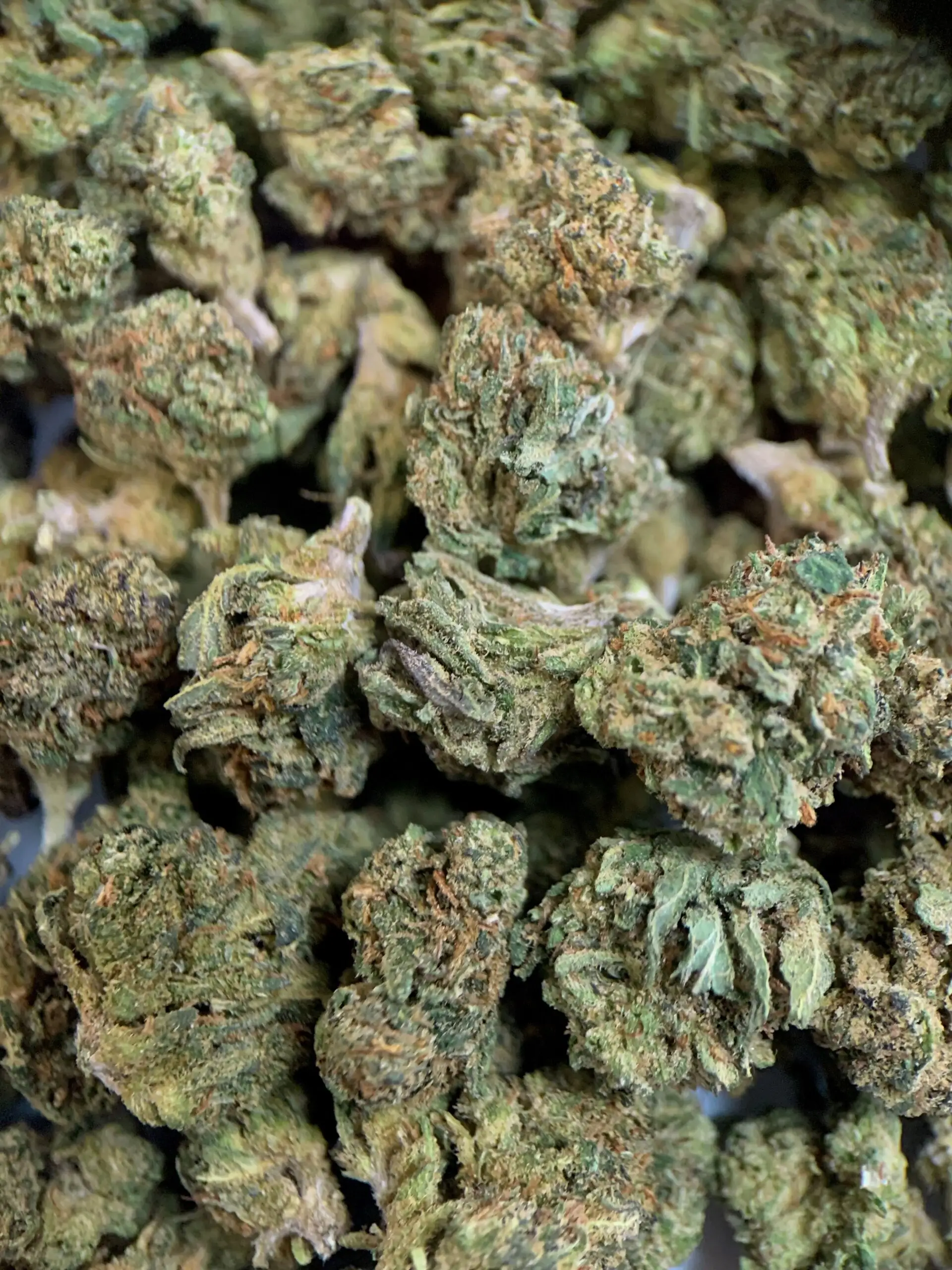 SMALL BUD RUNTZ CBD