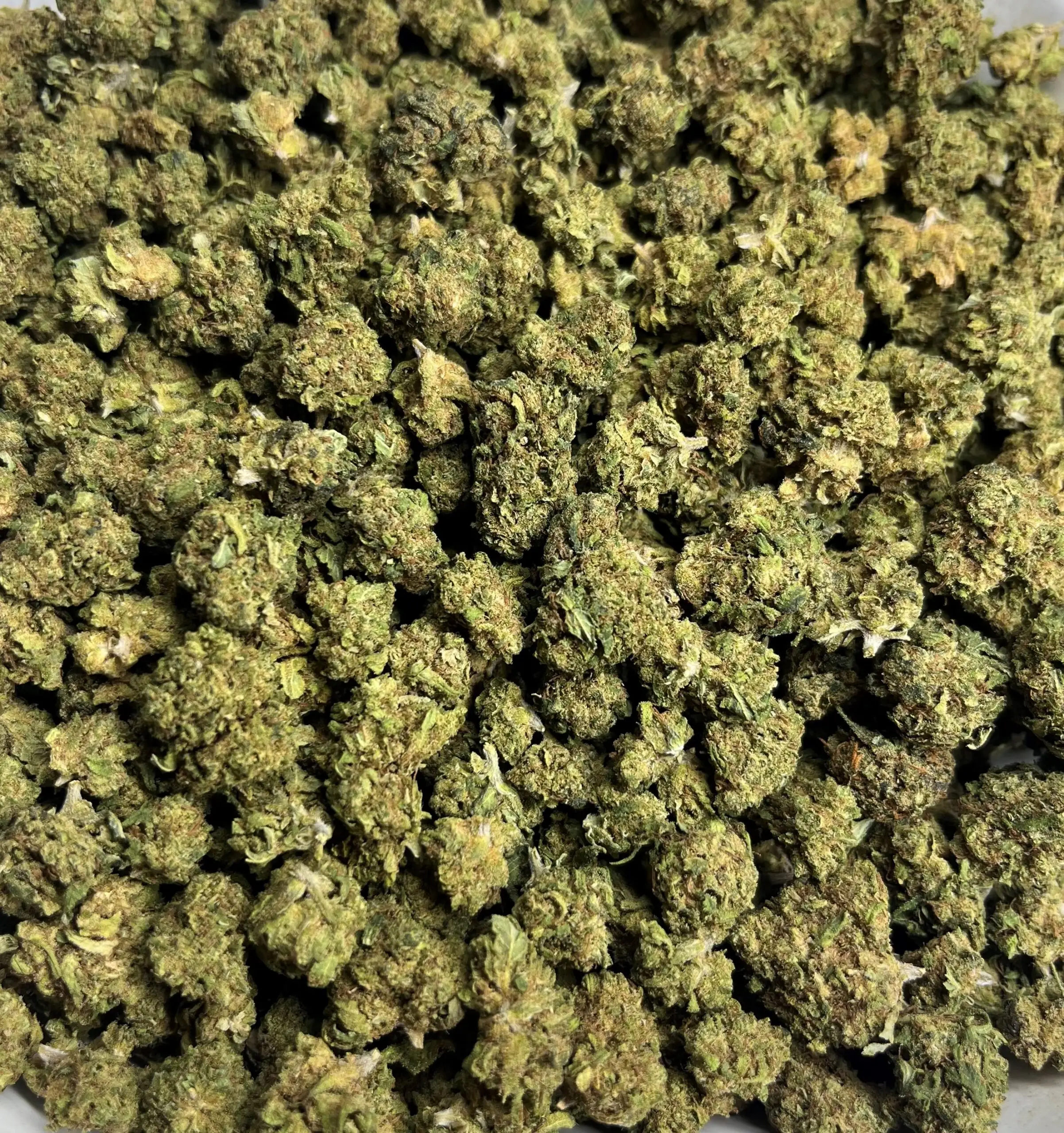 small bud apple punch fleurs de cbd
